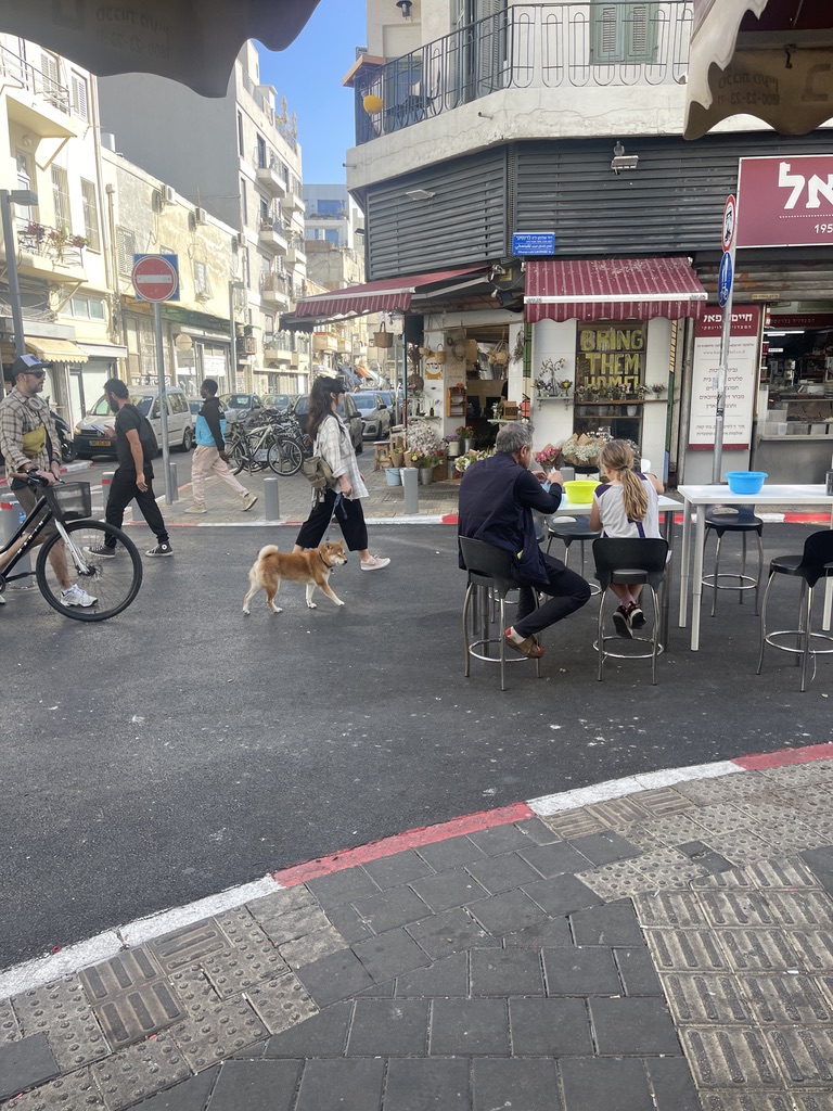 Levinsky Market in Tel Aviv Florentin neighborhood — spice and specialty food shops